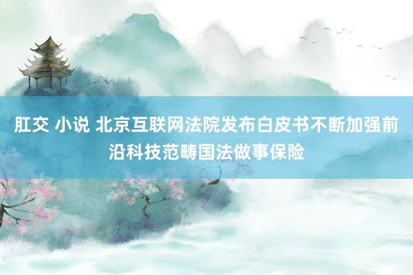 肛交 小说 北京互联网法院发布白皮书不断加强前沿科技范畴国法做事保险